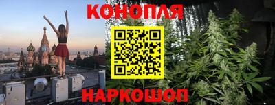 прущие грибы Краснокаменск