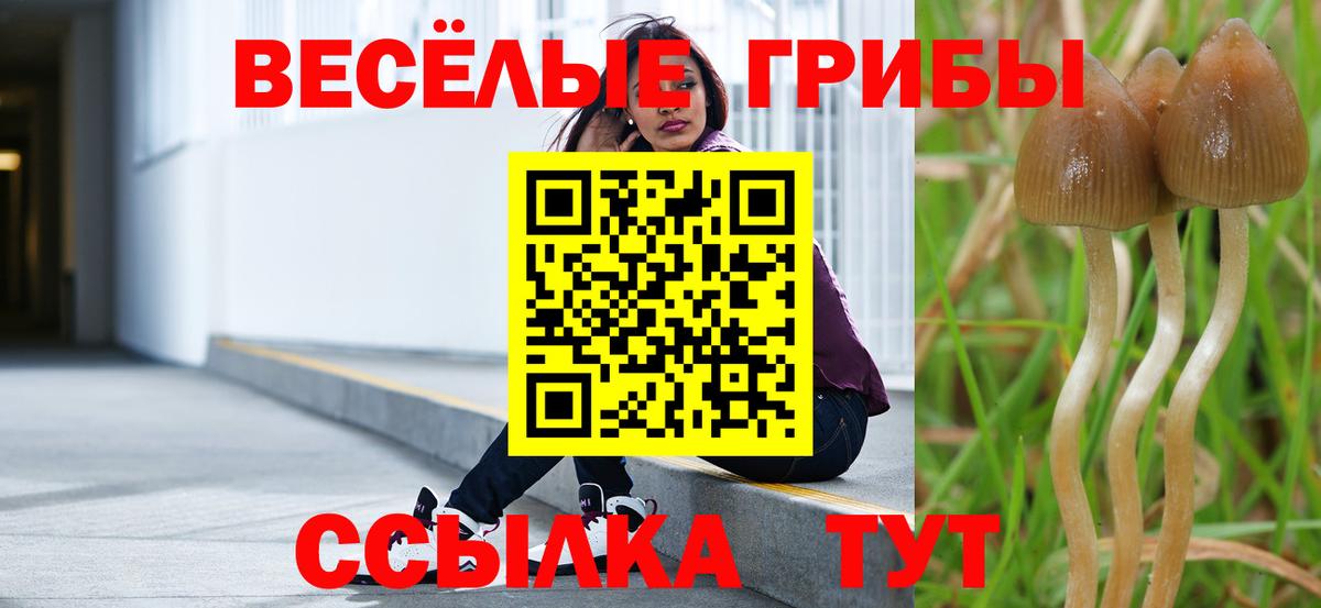 Псилоцибиновые грибы прущие грибы  Вход с VPN  купить наркотик  Шебекино 