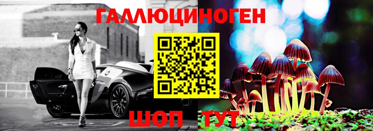 Псилоцибиновые грибы мухоморы Шебекино